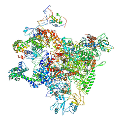 BU of 7c97 by Molmil