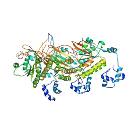 BU of 7c98 by Molmil