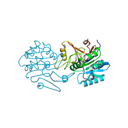 AU of 7c9d by Molmil