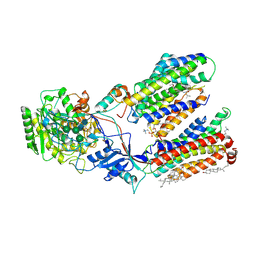 BU of 7c9i by Molmil