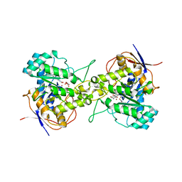 BU of 7ca1 by Molmil