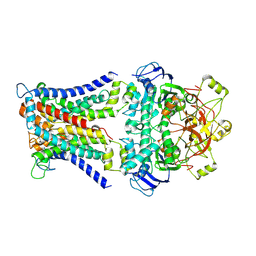 BU of 7cad by Molmil