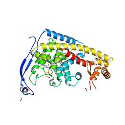 BU of 7cb8 by Molmil