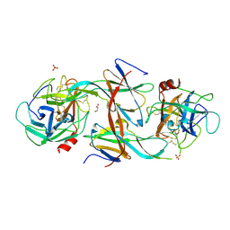 BU of 7cbk by Molmil