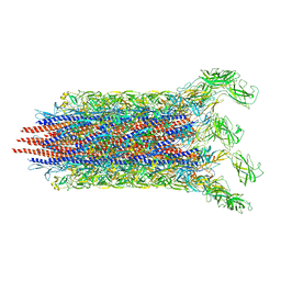 BU of 7cbm by Molmil