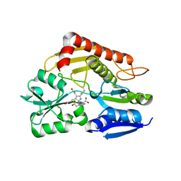 BU of 7ccx by Molmil