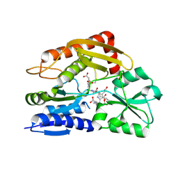 BU of 7ccz by Molmil