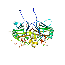 BU of 7cd1 by Molmil