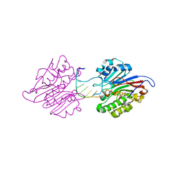 BU of 7cd5 by Molmil