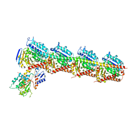 BU of 7cda by Molmil