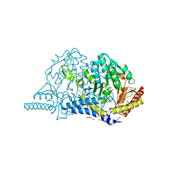 BU of 7cep by Molmil