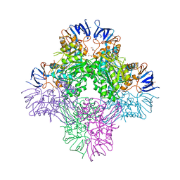 BU of 7cf6 by Molmil