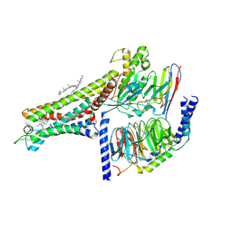 BU of 7cfm by Molmil