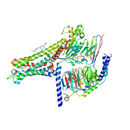 BU of 7cfn by Molmil