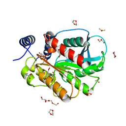 BU of 7ci0 by Molmil