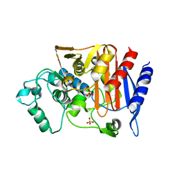 BU of 7cin by Molmil