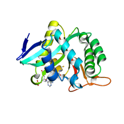 BU of 7cix by Molmil