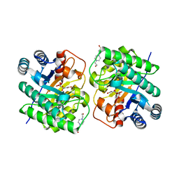 BU of 7cj8 by Molmil