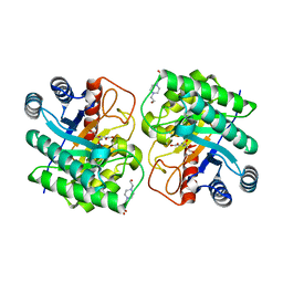 BU of 7cj9 by Molmil