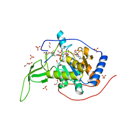 BU of 7cl0 by Molmil