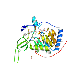 BU of 7cl1 by Molmil