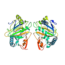 BU of 7cl3 by Molmil