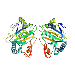 BU of 7cl4 by Molmil