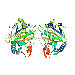 BU of 7cl5 by Molmil