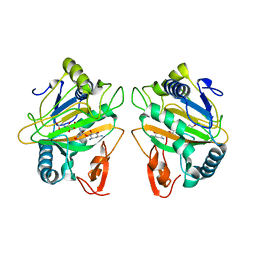 BU of 7cl6 by Molmil