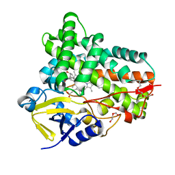 BU of 7cl8 by Molmil