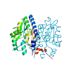 BU of 7cle by Molmil