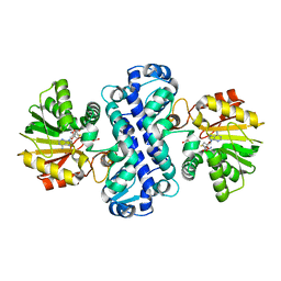 BU of 7clf by Molmil