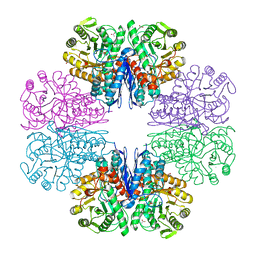 BU of 7cll by Molmil