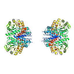 AU of 7cll by Molmil