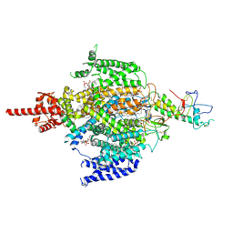 BU of 7cm3 by Molmil