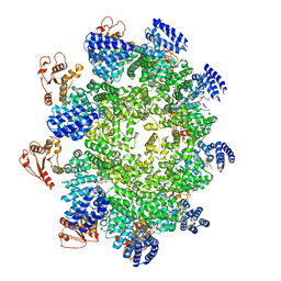 BU of 7cm7 by Molmil