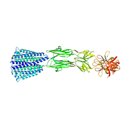 BU of 7cmg by Molmil