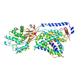 BU of 7cmh by Molmil