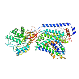 BU of 7cmi by Molmil