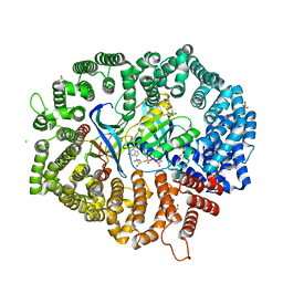 BU of 7cnd by Molmil