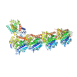 BU of 7cno by Molmil