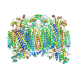 BU of 7cp5 by Molmil