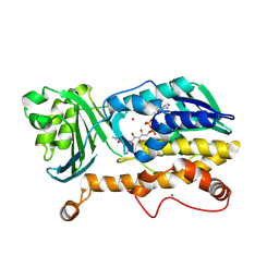 BU of 7cp6 by Molmil