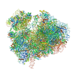 BU of 7cpu by Molmil