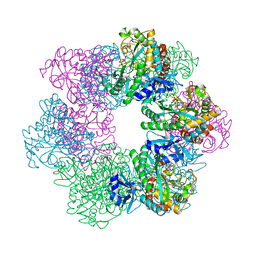 BU of 7cqq by Molmil