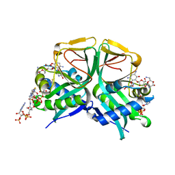 BU of 7cs1 by Molmil