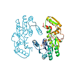 BU of 7cs4 by Molmil