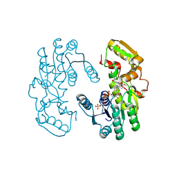 BU of 7cs5 by Molmil