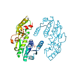 BU of 7cs6 by Molmil