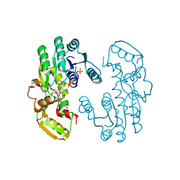 BU of 7cs7 by Molmil